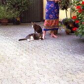 img_0004